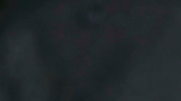 El presidente Donald Trump y el director ejecutivo de Tesla, Elon Musk, conversan con periodistas cerca de vehículos Tesla en el Jardín Sur de la Casa Blanca el martes 11 de marzo de 2025, en Washington.