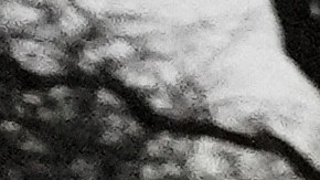 El visado TN es un permiso de no inmigrante que permite a ciudadanos de Canadá y México ingresar temporalmente a Estados Unidos para ejercer profesiones específicas.