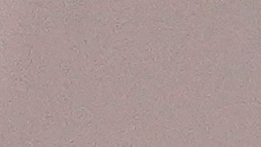 Presidenta de México revela orden de aprehensión contra Chávez Jr.