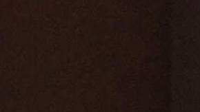 Un camión circula por la frontera entre Estados Unidos y México el viernes 4 de abril de 2025, cerca de Lukeville, Arizona.