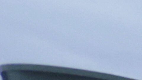 Aficionados de New York Giants durante el draft 2025 de la NFL. Foto referencial.