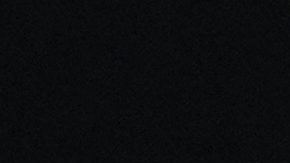 Murray reveló la razón por la cual dejó de trabajar con Djokovic: "No me sentía muy cómodo"