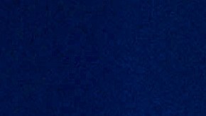 La subsecretaria de Asuntos Públicos del DHS, Tricia McLaughlin