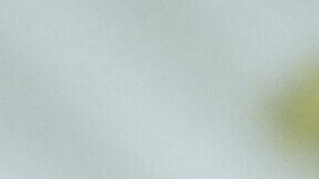 Musk renunció a finales de mayo como responsable de eficiencia en la Casa Blanca en medio de desavenencias con Trump por la llamada "gran y hermosa ley" que finalmente este firmó el 4 de julio.