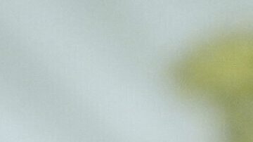 Musk renunció a finales de mayo como responsable de eficiencia en la Casa Blanca en medio de desavenencias con Trump por la llamada "gran y hermosa ley" que finalmente este firmó el 4 de julio.