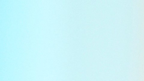 Trump pidió revisar subsidios a las compañías de Musk.