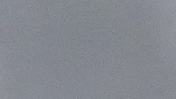 Venezolano Luisangel Acuña regresa a MLB para continuar con el rol de utility con Mets