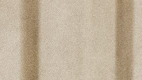 Un juez emitió una suspensión temporal que impide la expulsión de Zia de Estados Unidos, pero él sigue encarcelado.