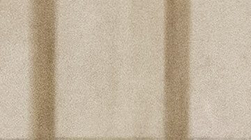 Un juez emitió una suspensión temporal que impide la expulsión de Zia de Estados Unidos, pero él sigue encarcelado.