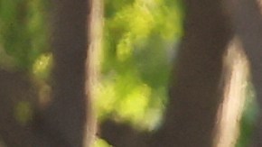 se registraron algunos actos violentos durante cuatro días, que fueron usados por Trump para enviar a cerca de 5,000 militares a proteger edificios federales.