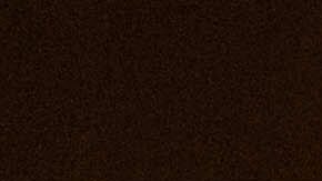 Durante la tregua, EE.UU. bajó los aranceles sobre los productos chinos importados al 30% y China fijó los aranceles a los estadounidenses en un 10%.