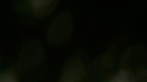 Abrego García enfrenta un riesgo alto de deportación si es liberado.