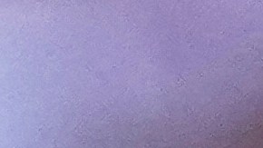 Sergio Canales confía en el éxito de Rayados en el Mundial de Clubes.