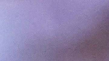 Sergio Canales confía en el éxito de Rayados en el Mundial de Clubes.