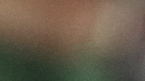 Javier Mascherano, entrenador del Inter Miami.