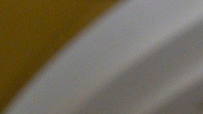 Desde 2017, el líder demócrata en el Senado, Chuck Schumer, impulsó una encuesta que revela la diversidad en su bancada.