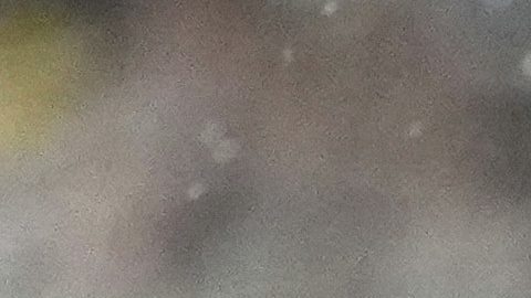 Vinícius es inmortalizado con una estatua de cera en el museo Madame Tussauds de New York