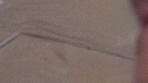 Líder de la mayoría en la Cámara de Representantes