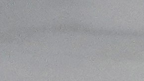 Trump y DeSantis en "Alcatraz Alligator"