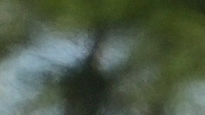 El presidente de EE.UU. en "Alligator Alcatraz" en Florida