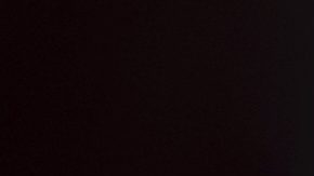 La alcaldesa de Los Ángeles, acudió al lugar para pedir la salida de los agentes federales, tras constatar que había niños participando en un curso de verano en el parque.