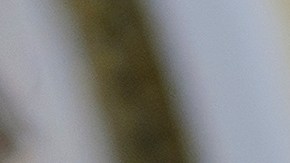 Mike Johnson, portavoz de los republicanos en la Cámara