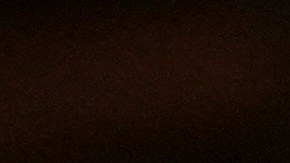 Ceremonia de naturalización en Texas