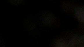 Ceremonia de naturalización en Alexandria, Virginia.