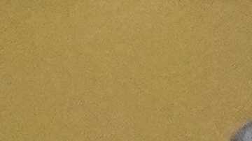 Edson Álvarez (C) celebra el gol que le dio el título de Copa Oro a México.