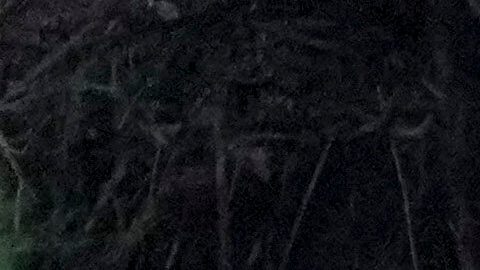 Rescate en Campamento Mystic (Texas) a lo largo del río Guadalupe tras inundación el 6 de julio de 2025.