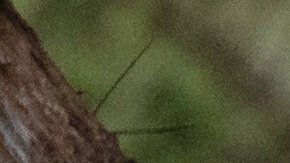 En la época de más actividad para las predicciones de tormentas, olas de calor mortales e incendios forestales, la dotación de personal del servicio meteorológico se ha reducido en más de un 10%.