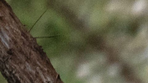 En la época de más actividad para las predicciones de tormentas, olas de calor mortales e incendios forestales, la dotación de personal del servicio meteorológico se ha reducido en más de un 10%.