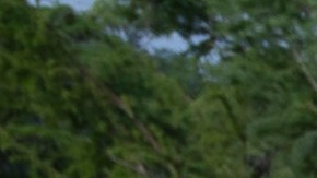 Equipos de rescate locales, estatales e internacionales continúan con las labores de búsqueda y rescate tras las inundaciones en Texas.