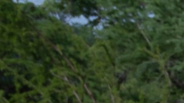 Equipos de rescate locales, estatales e internacionales continúan con las labores de búsqueda y rescate tras las inundaciones en Texas.