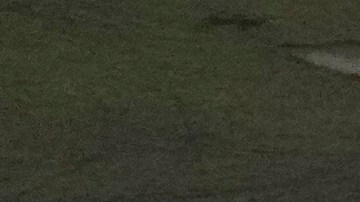 Denuncian que cientos de migrantes permanecen incomunicados.