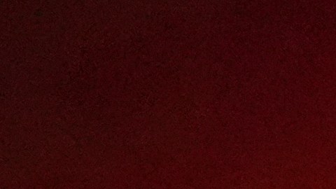 Más de 100 socorristas del LAFD coordinaron las tareas de rescate.