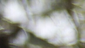 Los migrantes en Florida afrontan en estos centros "condiciones inhumanas, incluyendo la negación de cuidado médico, hacinamiento y tratos denigrantes".