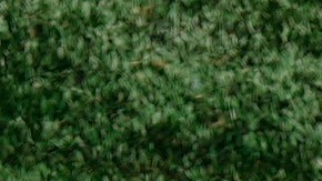 João Pedro se pronuncia tras la agresión que recibió en el Mundial de Clubes.