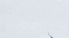 Trump presentó una demanda formal contra el periódico.