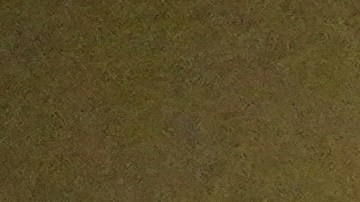 Coca Cola en negocio de Illinois