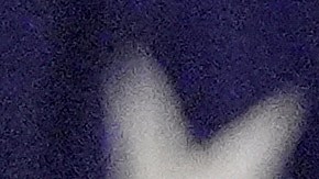 Japón viene de ser el quinto socio comercial más importante de EE.UU.