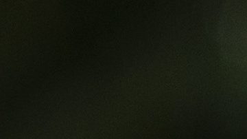 Homan expresó que "pondría más agentes en la ciudad de Nueva York" tras el ataque del fin de semana al agente del CBP.