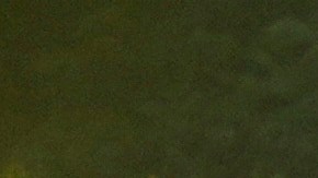 El sospechoso enfrenta cargos por terrorismo y múltiples delitos graves.