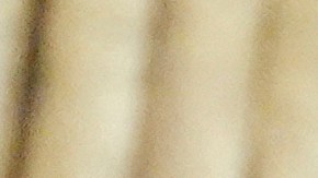 La secretaria de Seguridad Nacional de Estados Unidos, Kristi Noem (izquierda), y la ministra de Seguridad Nacional de Argentina, Patricia Bullrich, se estrechan la mano ante la cámara mientras celebran acuerdos bilaterales en el palacio presidencial en Buenos Aires, Argentina, el lunes 28 de julio de 2025.