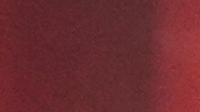 Las autoridades continúan investigando el incidente.