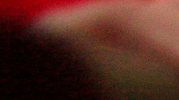 Activista boricua Pedro Julio Serrano en una ceremonia de casamiento de una pareja del mismo sexo