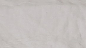 Traspaso de datos de Medicaid a ICE y DHS