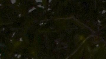 Caramelo pone rumbo a Colombia para reunirse con Manelyk.