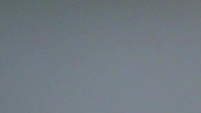 El aguacate puede experimentar un proceso acelerado si no se guarda de la manera correcta.