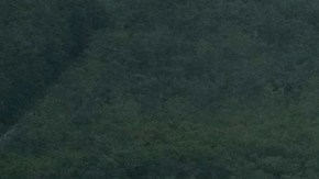 Reguetonero detenido en Alligator Alcatraz denunció: "Eso es una perrera"